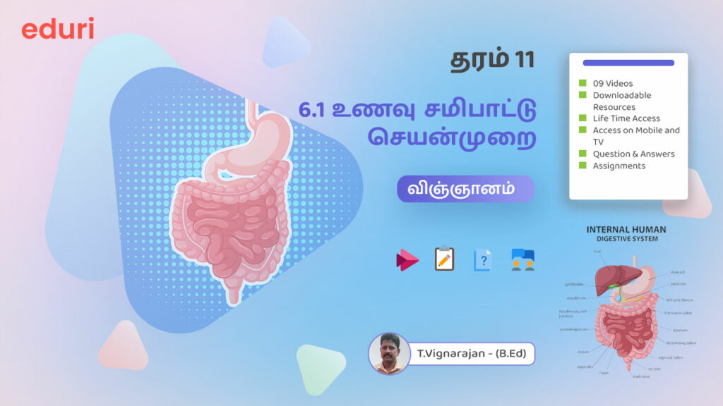 6.1 மனிதனின் உணவு சமிபாட்டு செயன்முறை – (விஞ்ஞானம்) – தரம் 11