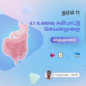 மனித உடற்செயன்முறைகள் (பகுதி -1) – தரம் 11